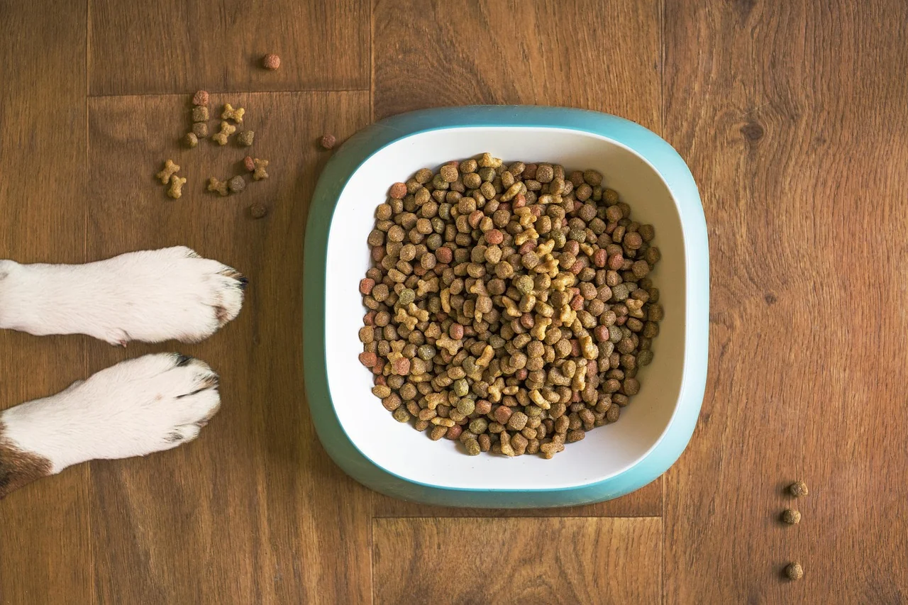 Gear & Home - Pet Products Guide